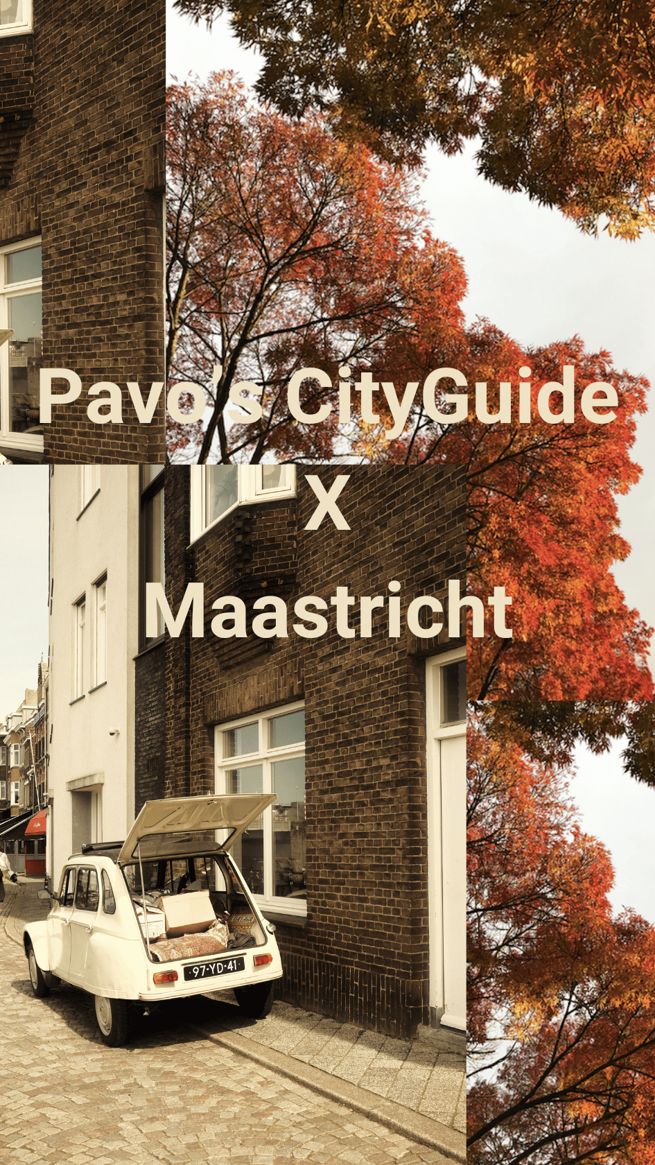 Cityguide van Maastricht